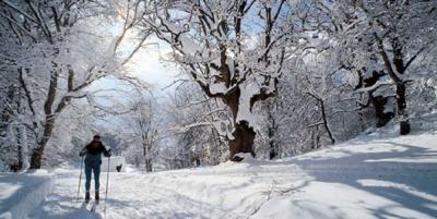 Settimana Bianca Economica al Parco Nazionale d´Abruzzo