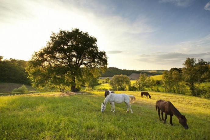 SPA a Fabro immersa nel verde della natura 