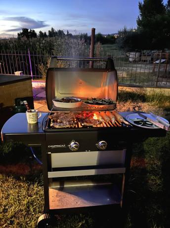 Gas BBQ for Garden Parties