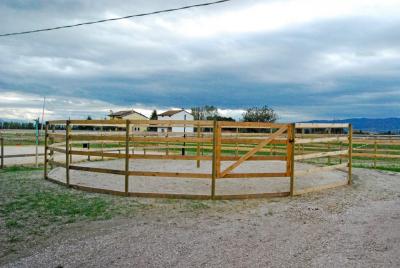 tondino in sabbia per addestramento cavalli centro equestre 