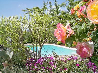 Holiday Houses with pool for rent in Italy