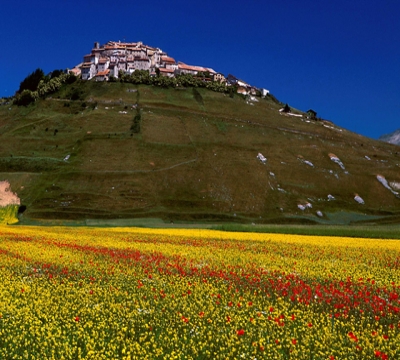 Castelluccio a primavera 