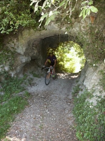 Mountain bike excursions nearby