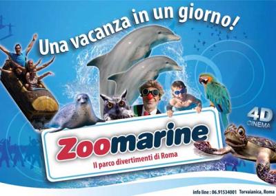 Offerta Agosto hotel vicino Zoomarine.