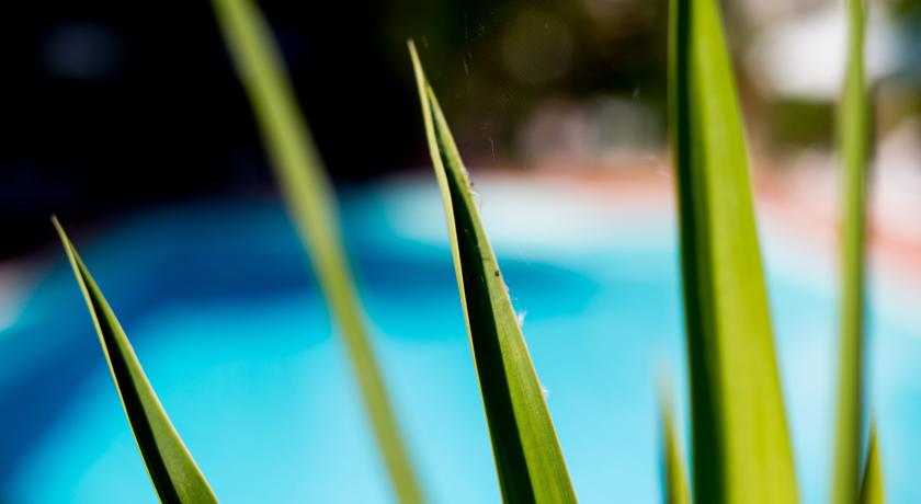 Piscina privata attrezzata 