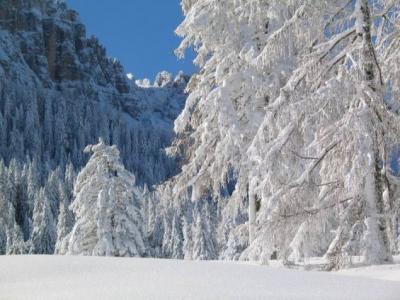 Skiers paradise, sun and lots of snow