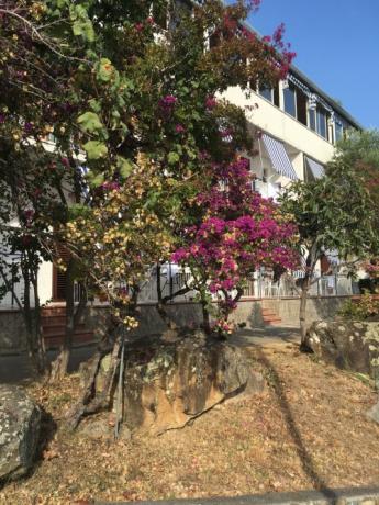 Camere e Ristorante a Palinuro