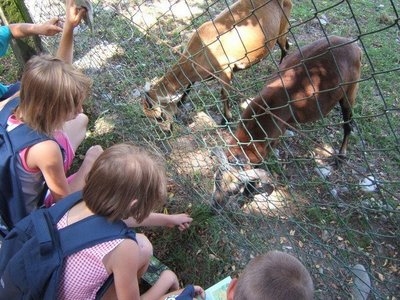 albergo vicinoparco per famiglie con animali
