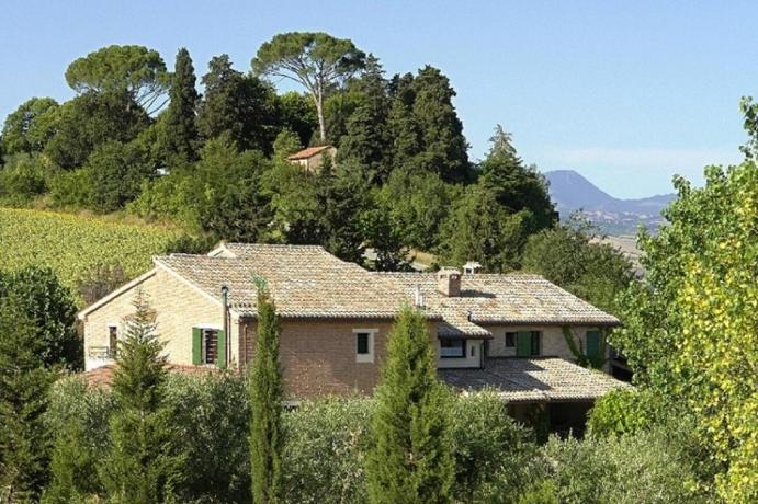 Agriturismo in collina immerso nel verde marchigiano