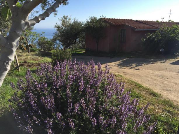 Agriturismo immerso nel verde a Marina di Patti