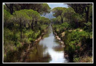 Agriturismo in Toscana vicino Parco della Maremma
