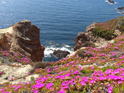 Offerte B&B Sardegna e Isole Carloforte