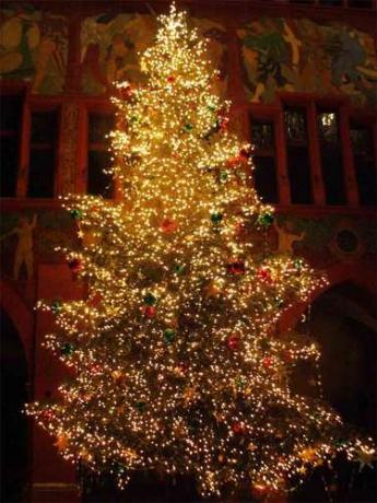 Vacanze di Natale a Mondolfo, Last Minute