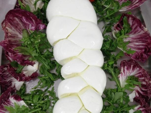 Mozzarella di bufala tipica della Campania  