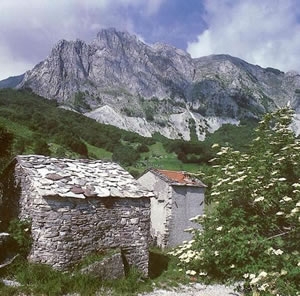 Campocatino, natura e prodotti tipici