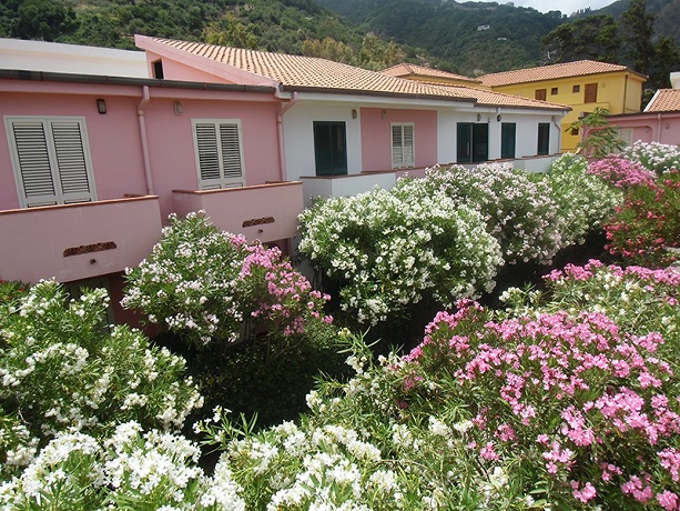 Villaggio immerso nel verde e fronte mare