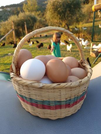 Prodotti a km 0 della Villa