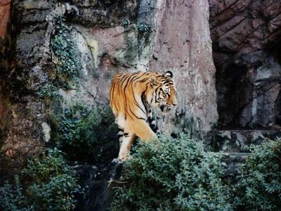 hotel-near-bioparco-in-roma-italy