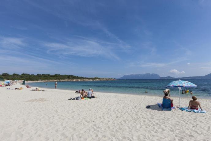 spiaggia sabbiosa di Cala Liberotto a Orosei 