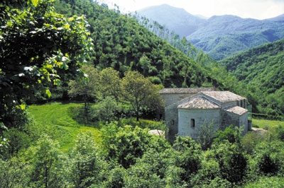 Nel verde del parco