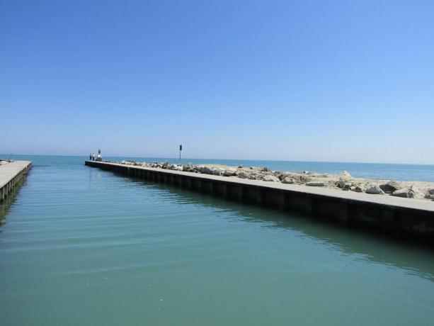 Appartamenti a MilanoMarittima a pochi metri dal mare 