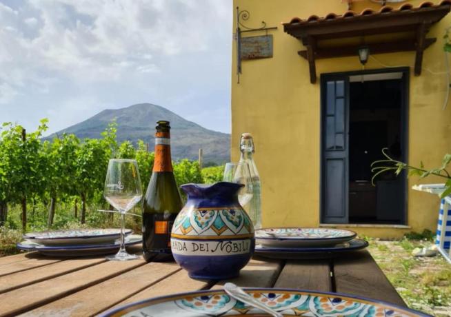 degustazione vini ai piedi del Vesuvio