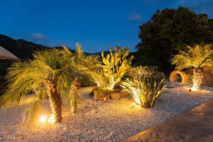 Bellissimo Giardino Esterno con palme, cactus