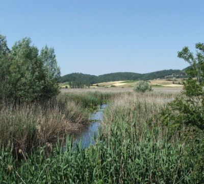 Colfiorito