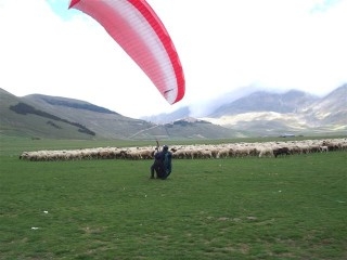Parapendio tra flora e fauna