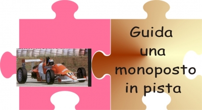 Guida una vera monoposto da corsa in pista