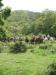 Passeggiate a cavallo nella campagna laziale