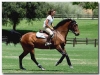 equigusto-mostra-cavallo-citta-castello