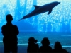 Parco acquatico per famiglie