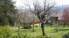 Giardino presso arcugnano