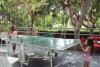 Residence Praia a Mare per Famiglie con Bambini