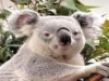 Offerte e lastminute hotel+zoo