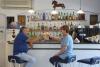 Bar hotel per gruppi costiera amalfitana