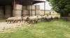 Casale in Azienda agricola con camere e autogestione