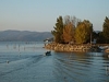 A fisher in the Trasimeno Lake