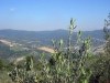 Panorama dal Casale