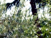 Agriturismo immerso nel verde