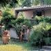 Bilo-economy  4 persone-cucina attrezzata Villaggio silvi-marina