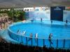 parco zoomarine vicino Hotel 4 stelle a Pomezia