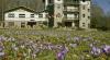 all'albergo Amiata Internet Point 