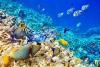 offertavacanze-lowcost-sharmelsheik-7notti-allinclusive-voloincluso