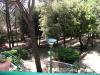 Pineta B&B vicino aeroporto S.Egidio Perugia