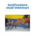 Disinfezione Certificata COVID-19: AMBULATORIO-VETERINARIO Roma