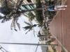 Cannabis Social Club a las canteras Las Palmas
