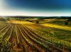 Case Vacanza vicino ai Vigneti di Montepulciano