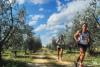 Hotel a Siena per la Mezza Maratona